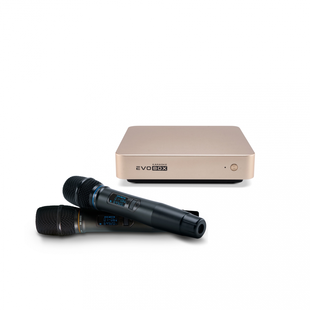 EVOBOX с микрофонами в Соликамске
