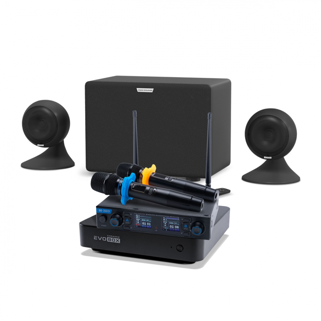караоке-комплект EVOBOX + EvoSound Sphere 2.1 в Соликамске