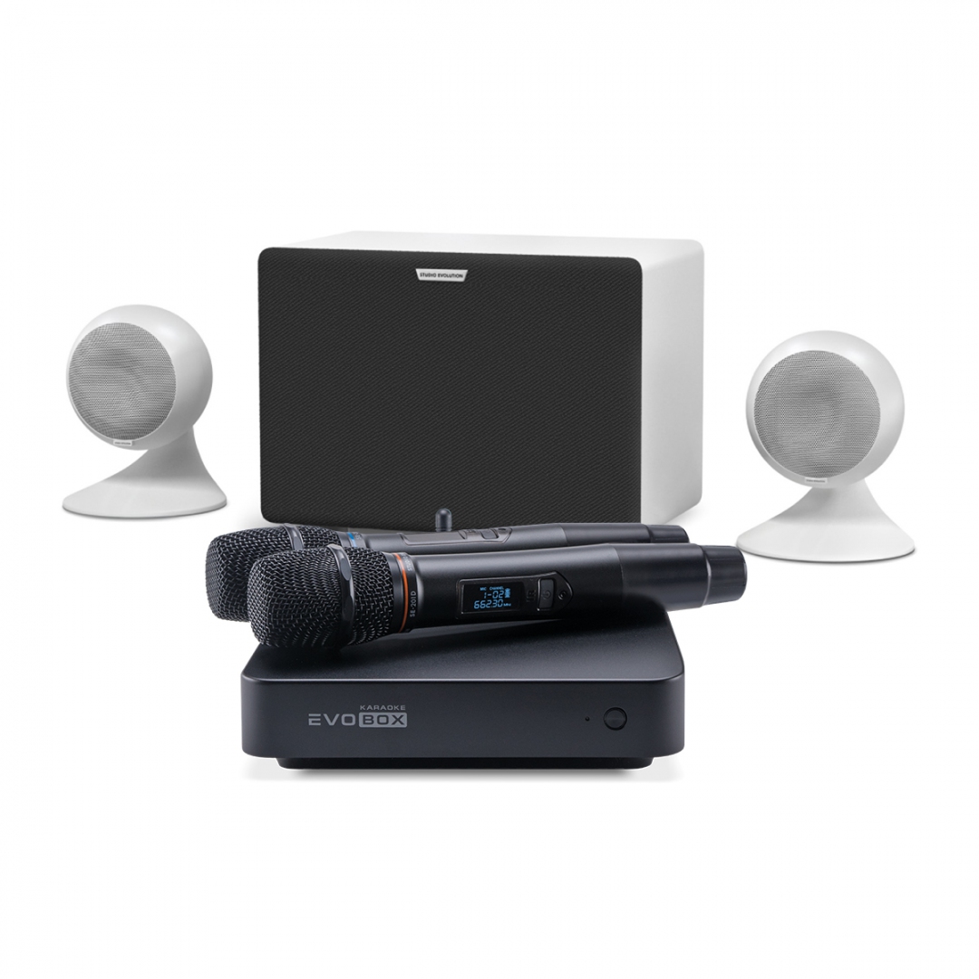 караоке-комплект EVOBOX Classic + EvoSound Sphere 2.1 в Соликамске