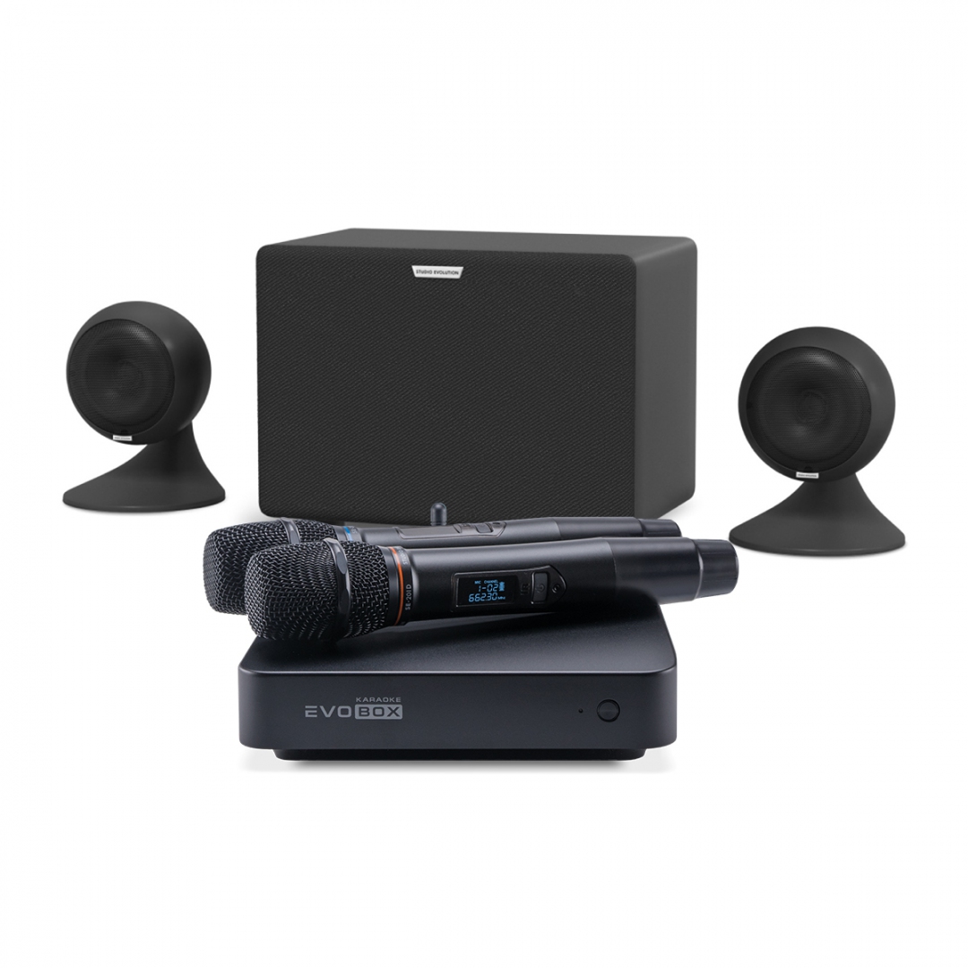 караоке-комплект EVOBOX Plus + EvoSound Sphere 2.1 в Соликамске