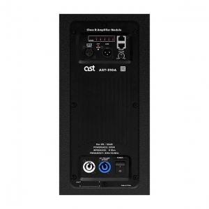 Активная акустическая система AST-310A в Соликамске