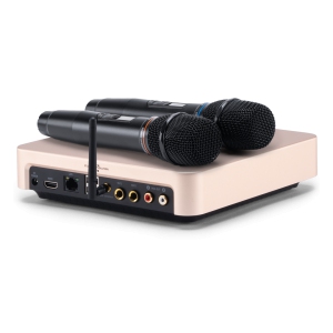 EVOBOX Classic караоке-система для дома в Соликамске