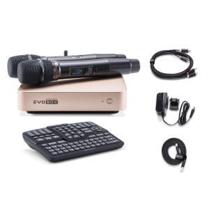 EVOBOX Classic караоке-система для дома в Соликамске