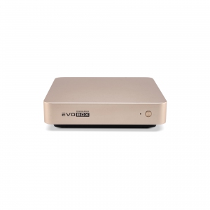 EVOBOX с микрофонами в Соликамске