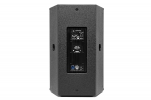MX LAB DANA 15P активная акустическая система в Соликамске